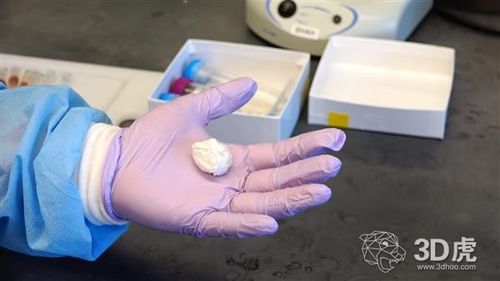 研究人员开发出用于器官再生的生物活性"薄纸"
